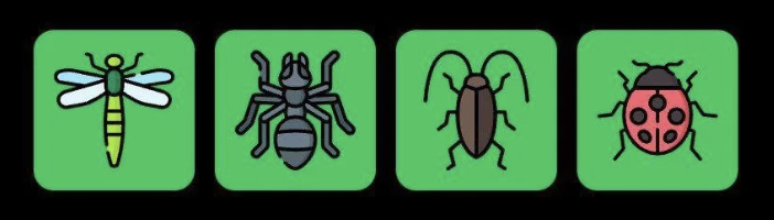 FLIES Daily Combo 3 May 2025